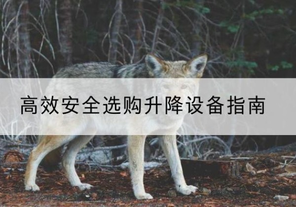 沛县升降货梯厂家推荐-*安全选购升降设备指南