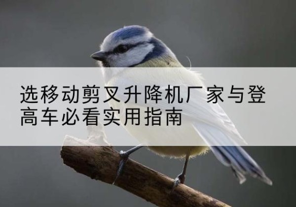 沛县电动升降机厂家-选移动剪叉升降机厂家与登高车必看实用指南