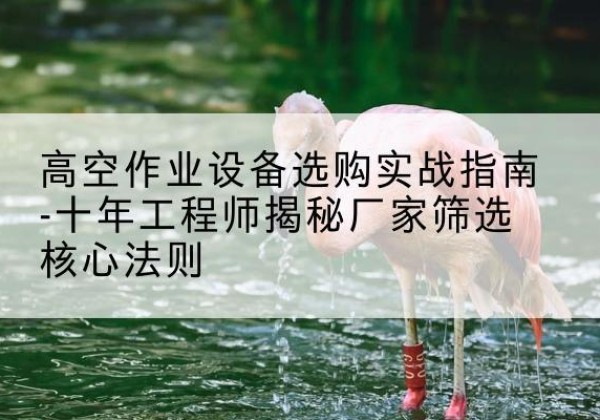 沛县剪叉式升降机厂家-高空作业设备选购实战指南-十年工程师揭秘厂家筛选核心法则